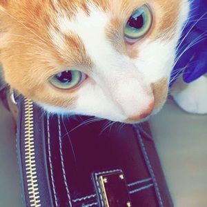 Meet your Posher, Babette